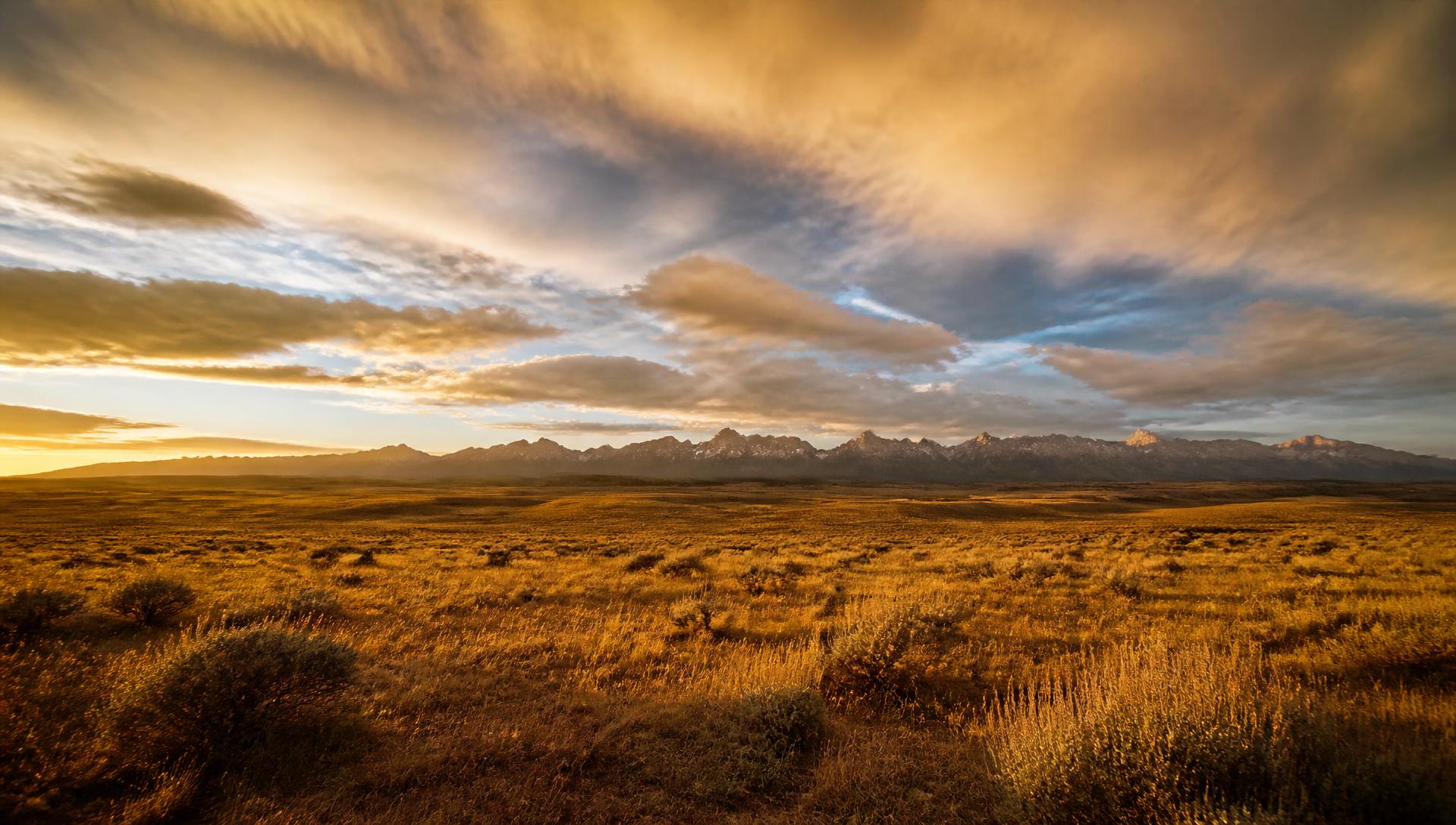 High plains at golden hour — open shortgrass prairie under a wide sky with distant mountains on the horizon.